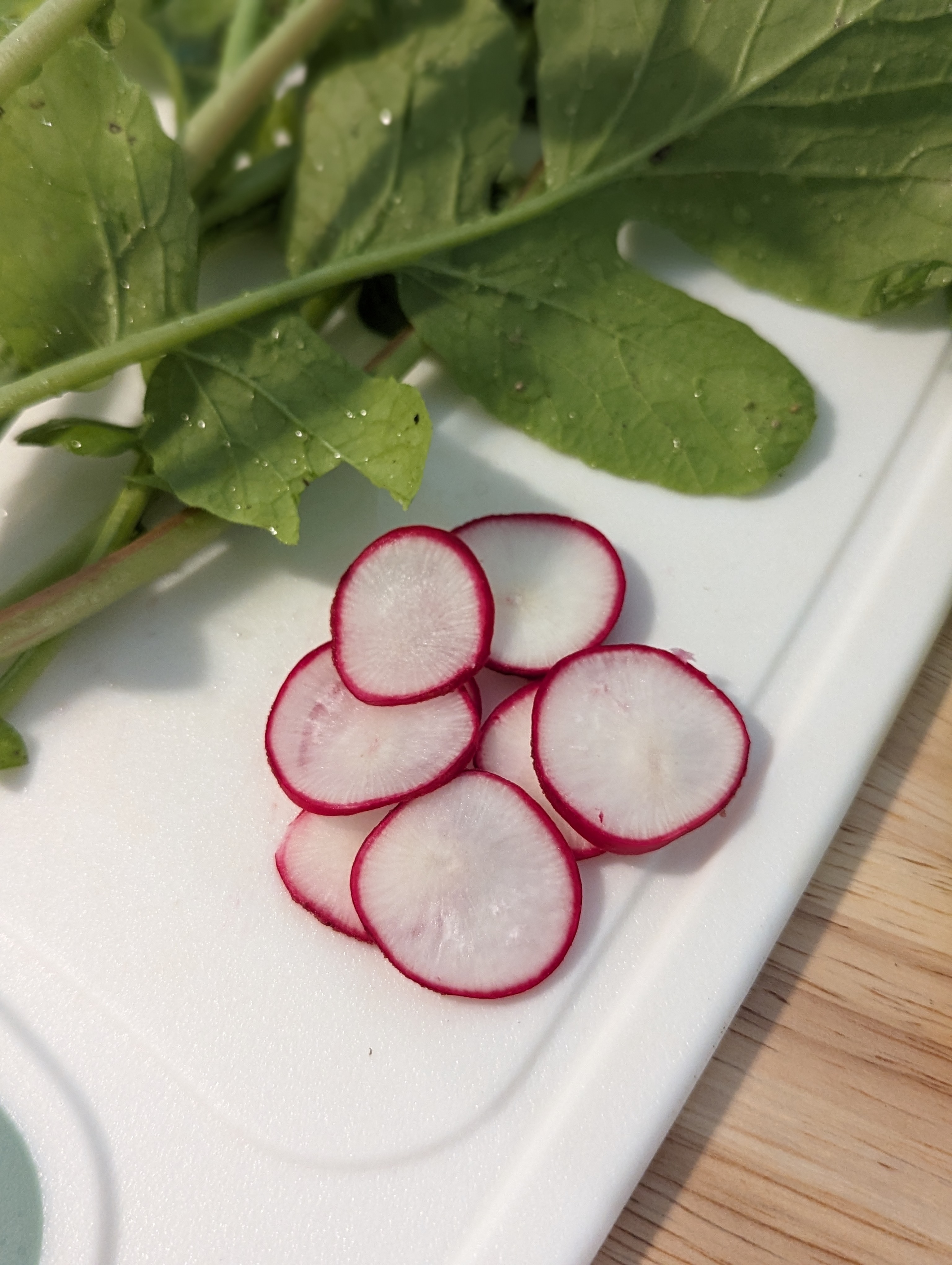 radish-cherry bell